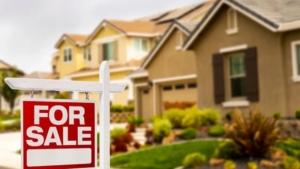 Matsu Borough property