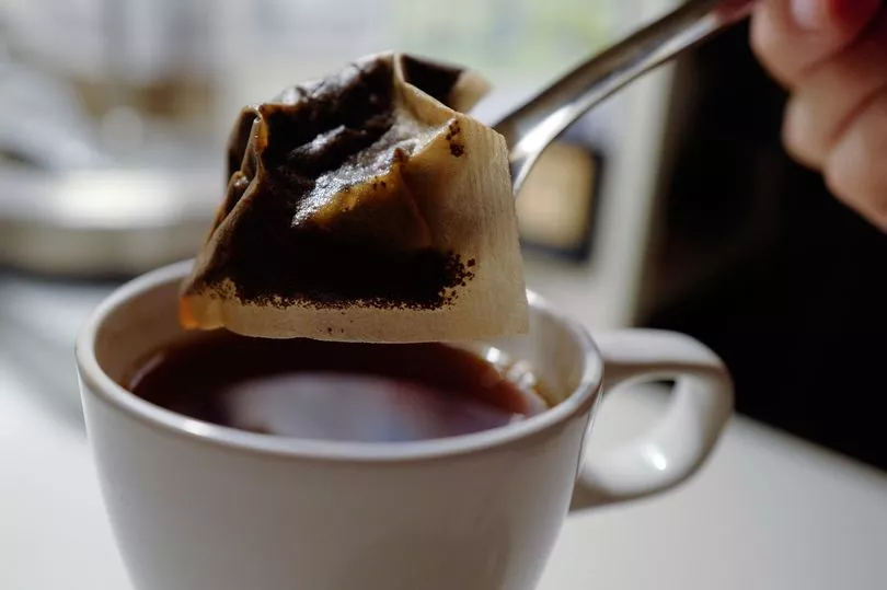 Infuse Your Routine With Nutrient-Dense Micro-Tea For Energy And Clarity