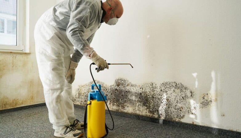 Benefits of Choosing Certified Experts for Reliable Water Restoration Services